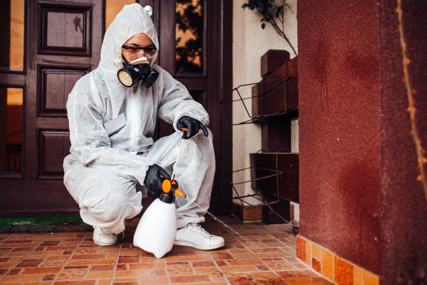 Attic and Crawl Space Rodent Treatment in Havre